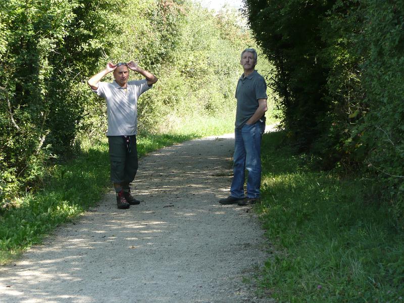 Sommerfest SCS 2009-07.jpg